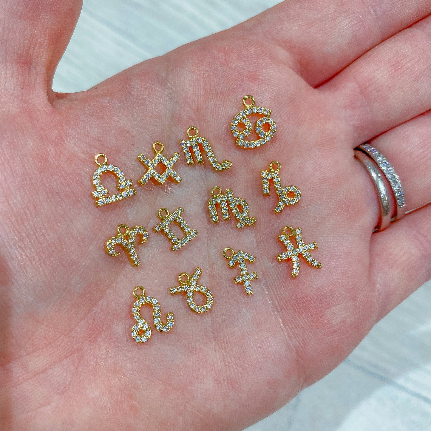 Teeny Zodiac Charms