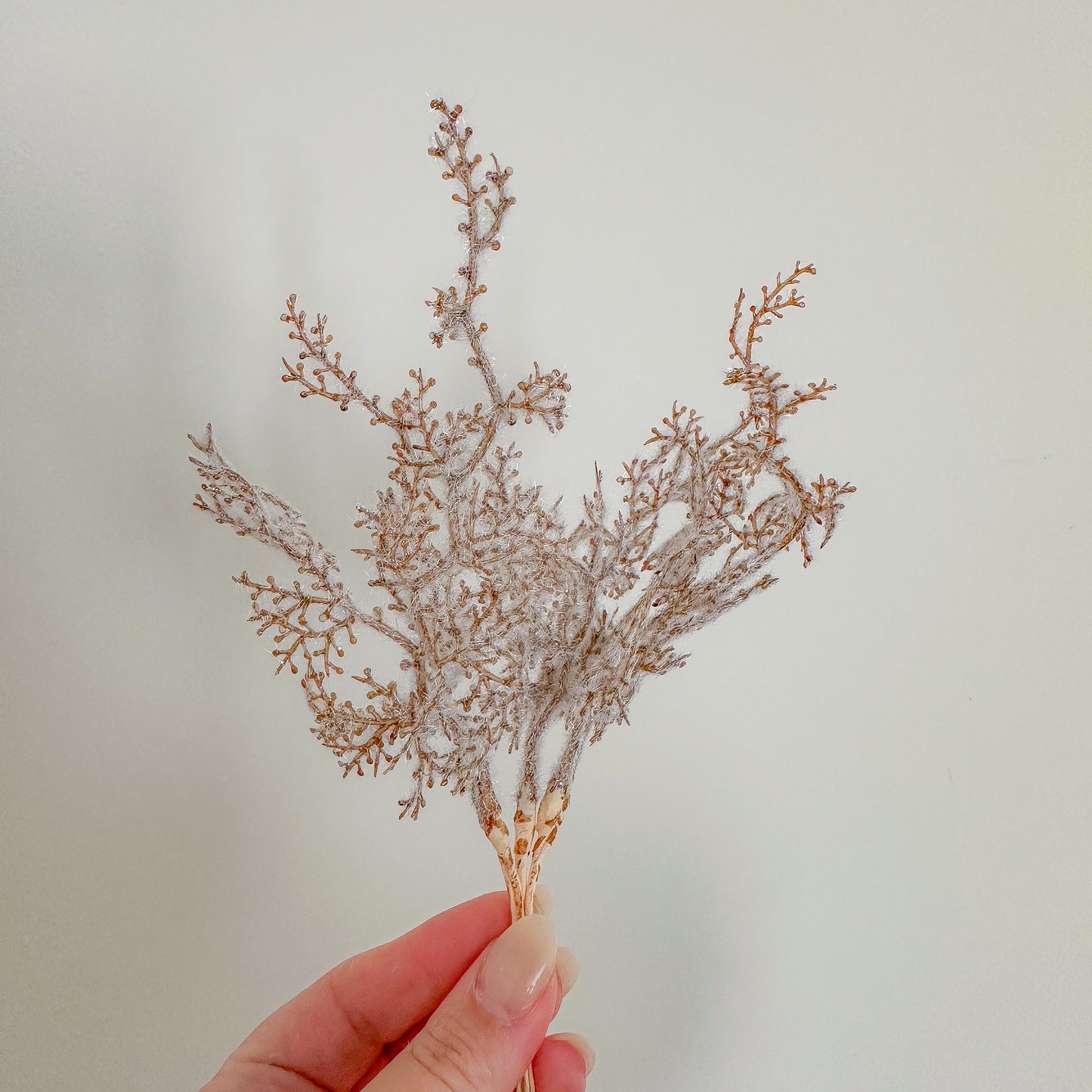 Festive Foliage