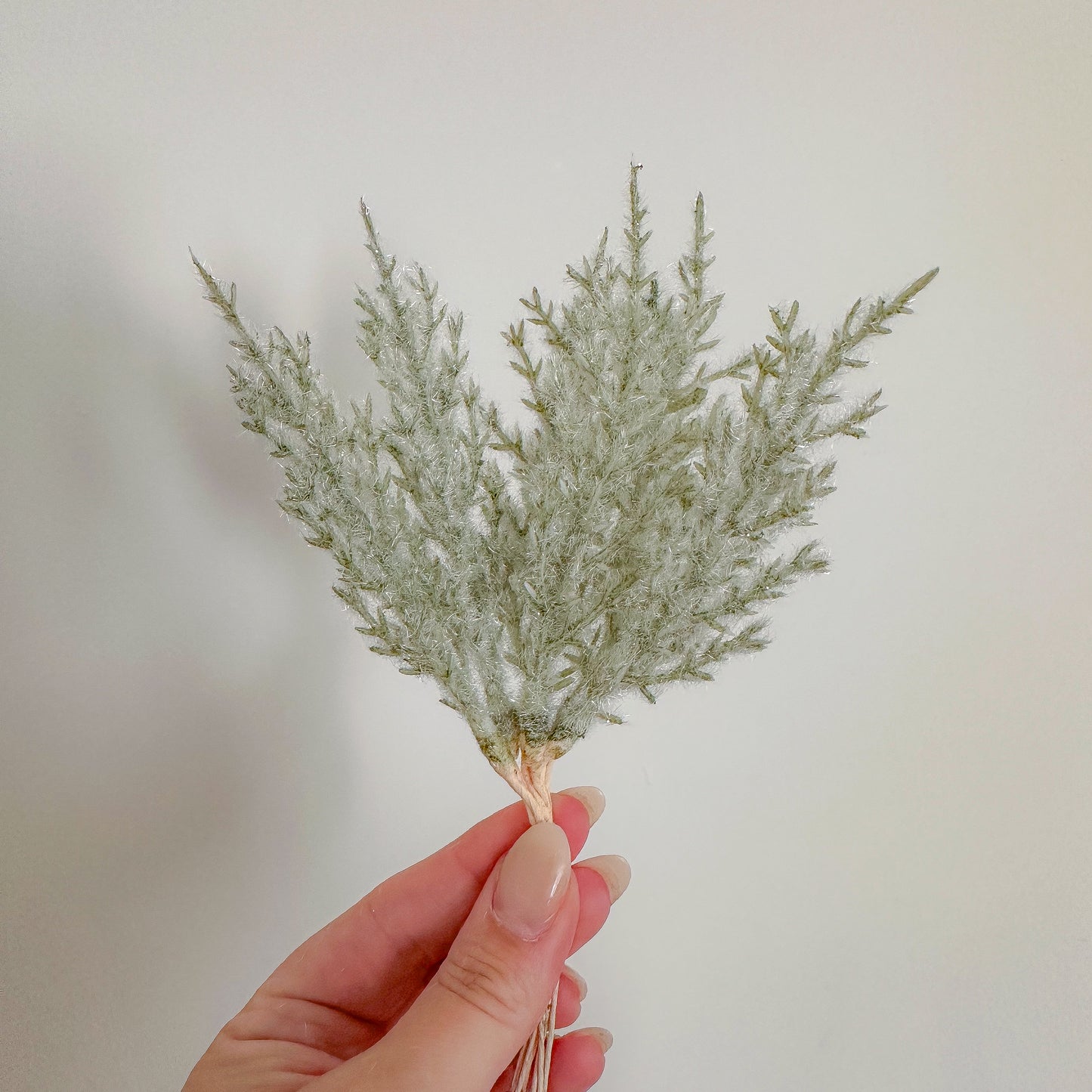 Festive Fern Foliage