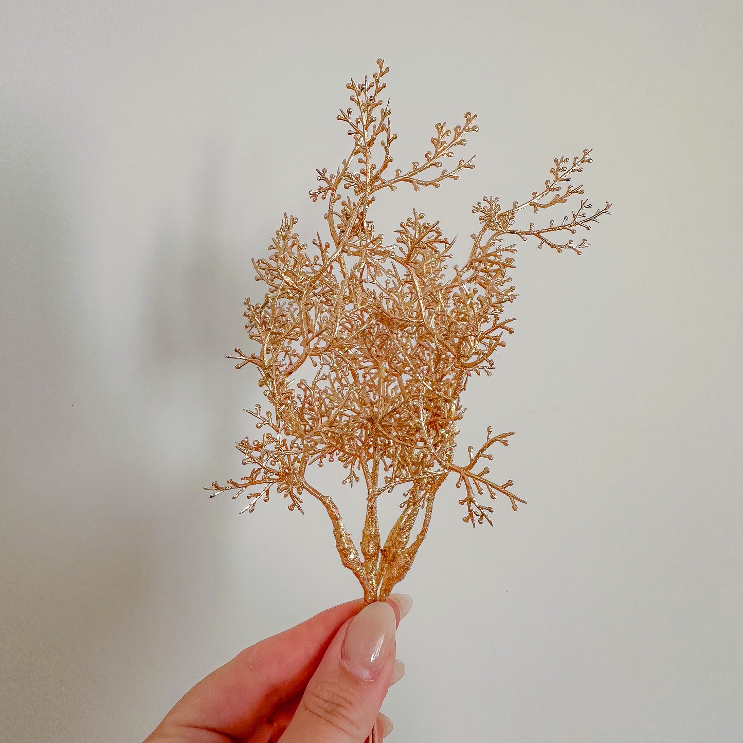 Festive Foliage