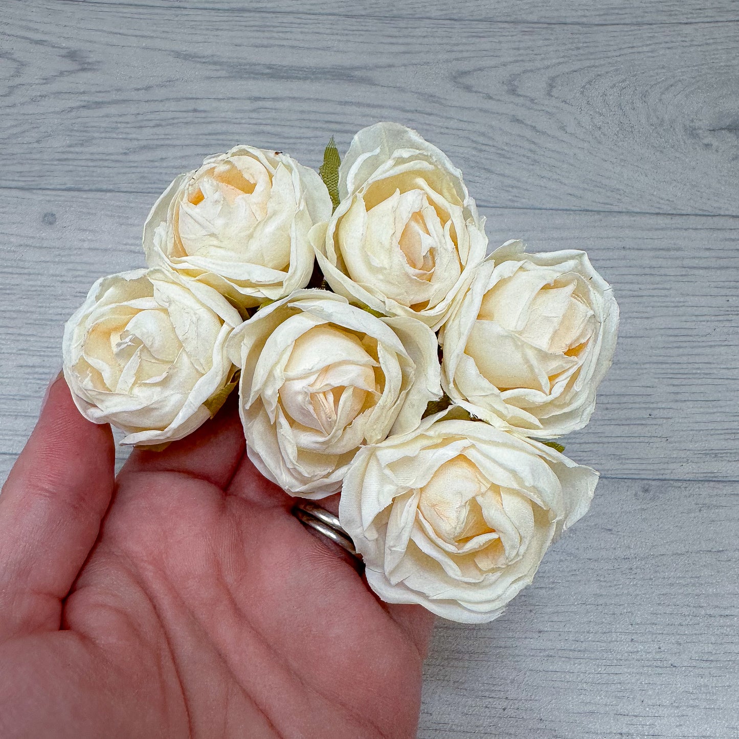 Silk Roses Cream