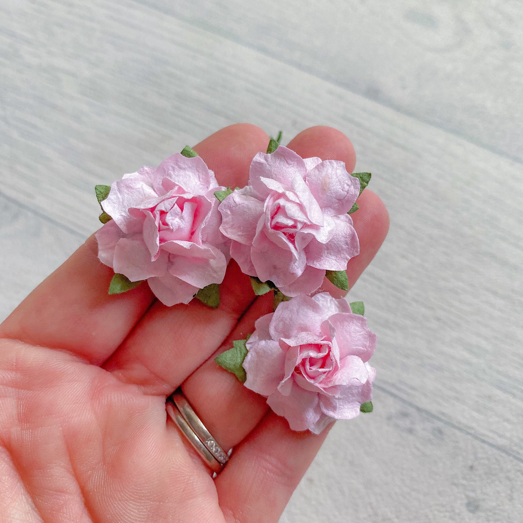 Soft Pink Modern Rose Mulberry Flowers 25mm (10)
