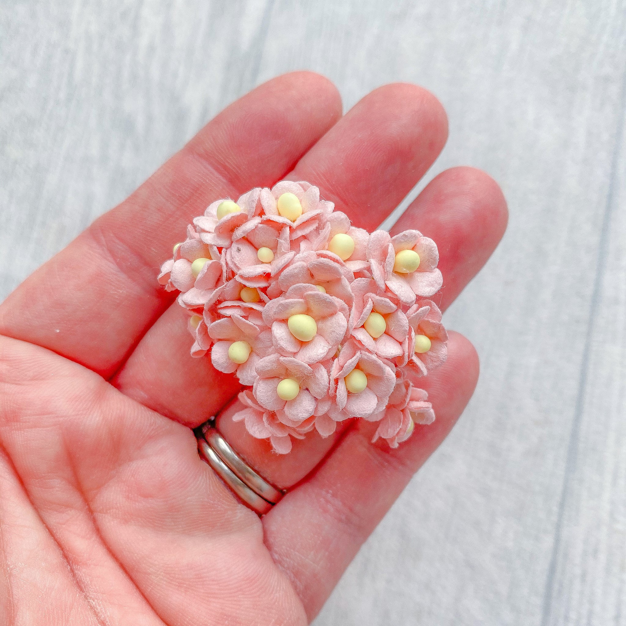 Miniature Mulberry Sweetheart Bloom Pink Mist