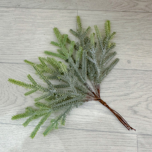 Norway Spruce Foliage