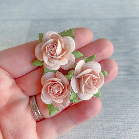 Nude Open Rose Mulberry Flowers 25mm (10)