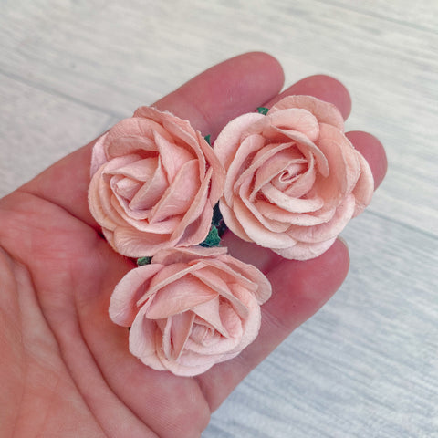 Mulberry Chelsea Roses Pale Pink 35mm (10)