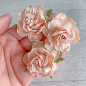 Nude Country Rose Mulberry Flowers 50mm (5)