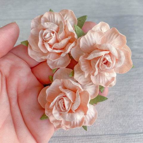 Nude Country Rose Mulberry Flowers 50mm (5)