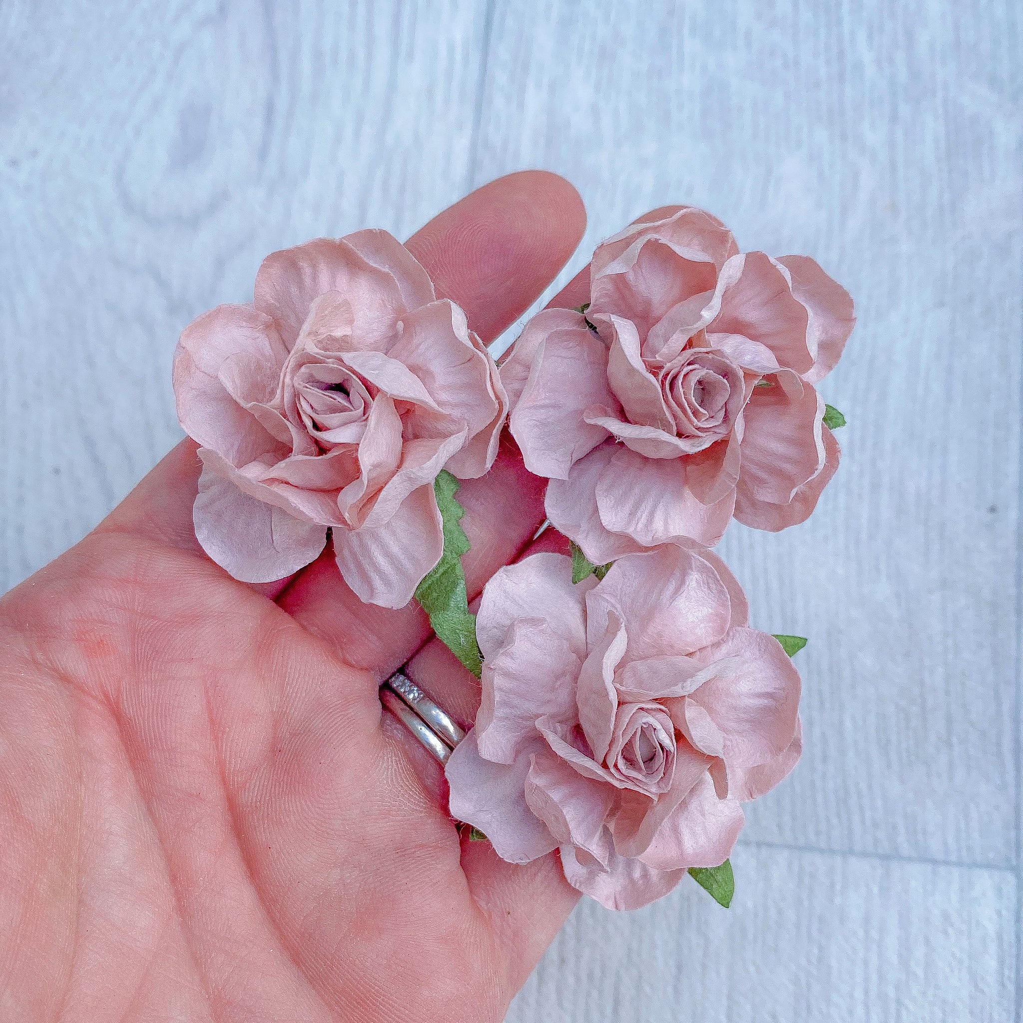 Blush Pink Country Rose Mulberry Flowers 50mm (5)