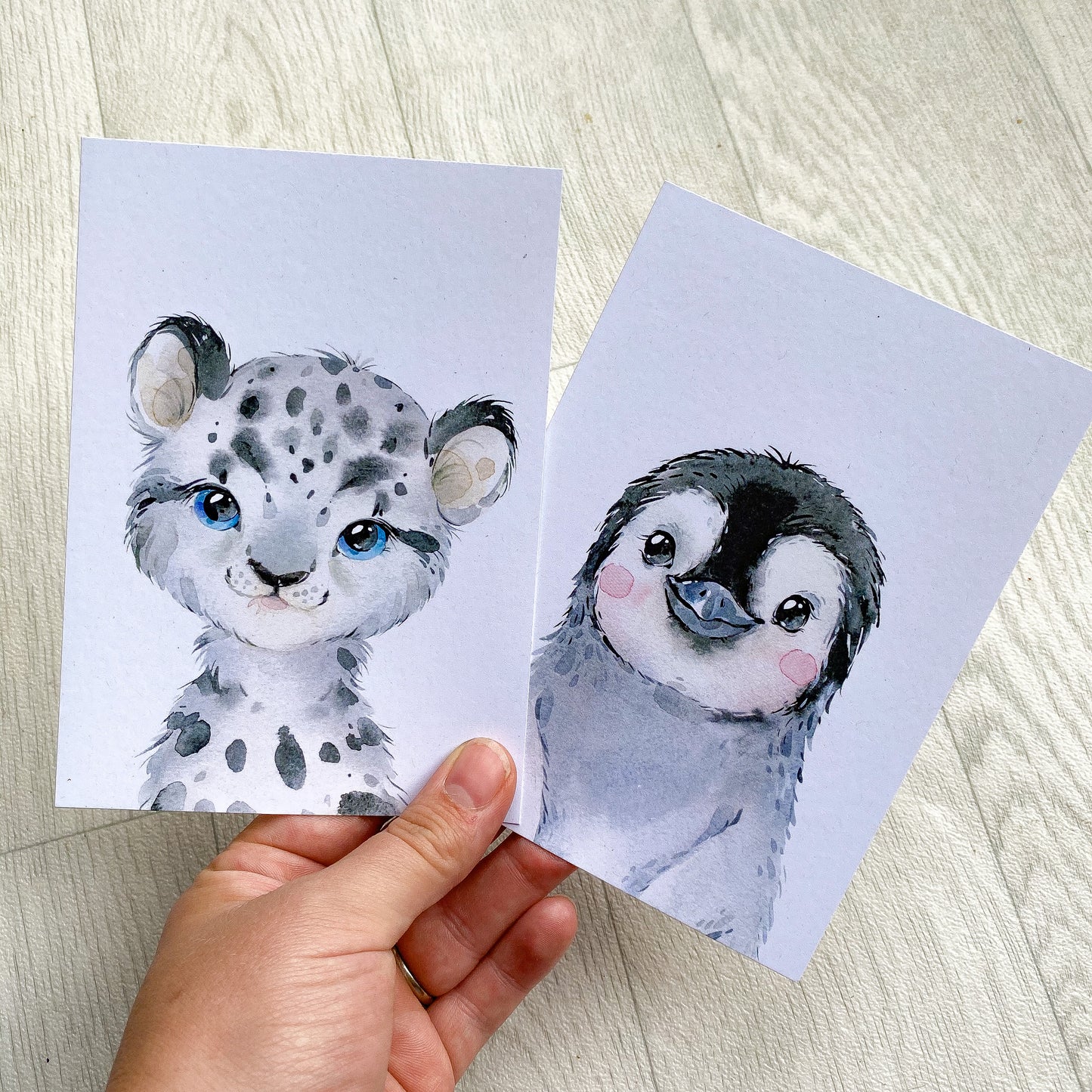 Cute Animal Bow Display Cards