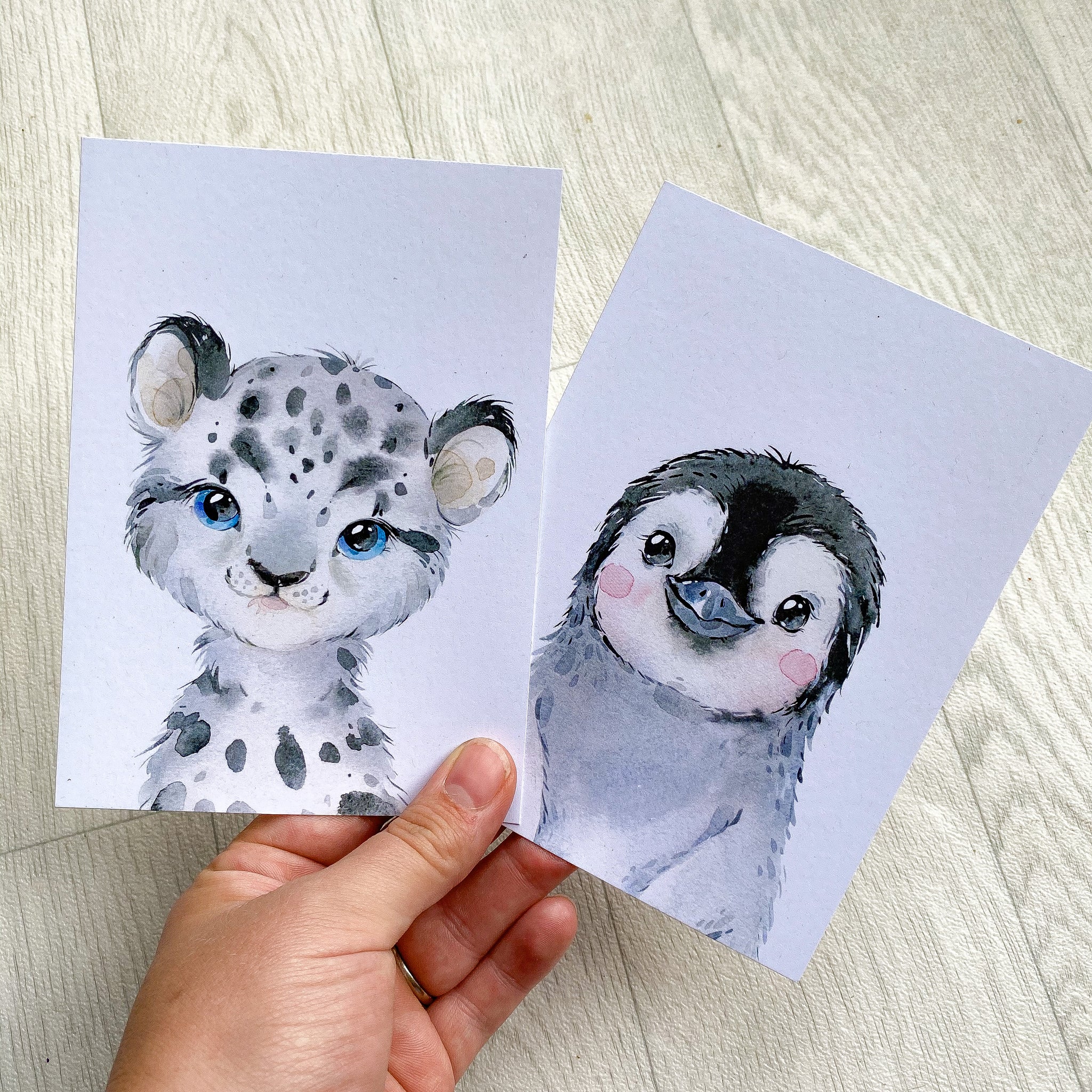 Cute Animal Bow Display Cards
