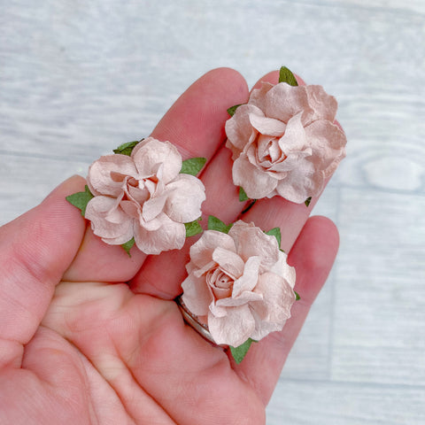 Nude Modern Rose Mulberry Flowers 25mm (10)