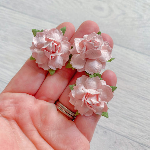 Blush Modern Rose Mulberry Flowers 25mm (10)